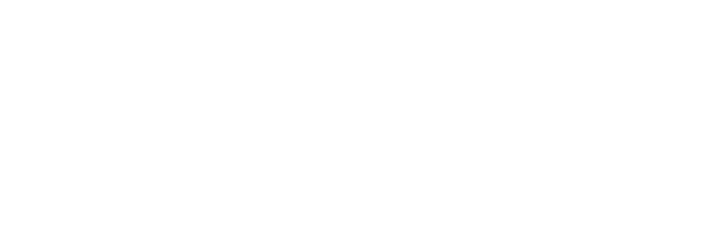 DigiDisruptor